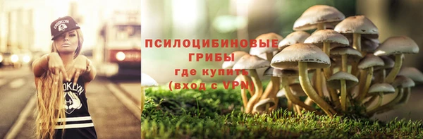 а пвп мука Баксан