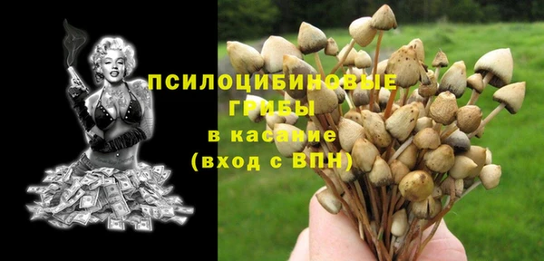 а пвп мука Баксан