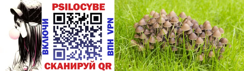 Галлюциногенные грибы MAGIC MUSHROOMS  Краснознаменск 